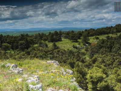 � il �Pulicchio�, situato nell�agro di Gravina in Puglia: una dolina carsica dalla forma ovoidale creata con ogni probabilit� dal crollo di un sistema di grotte scavate dall�acqua nella roccia calcarea